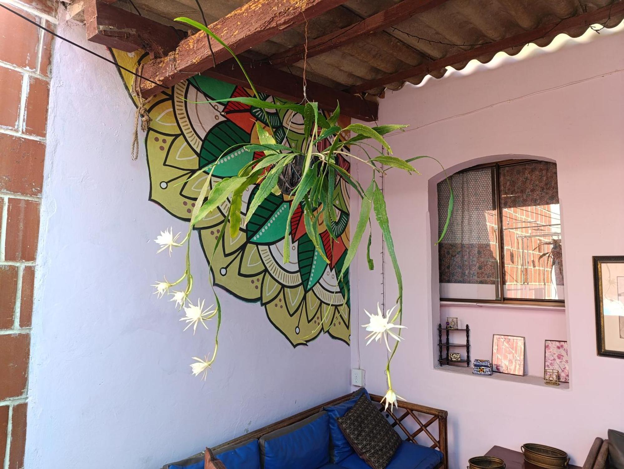 Casa Vieja Guest House Санта-Ана Экстерьер фото